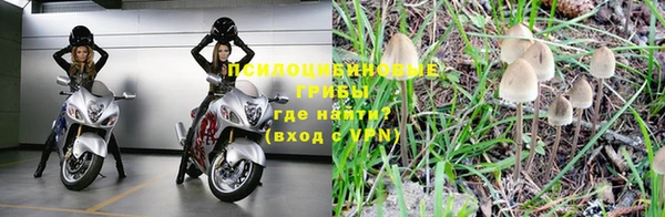 кокс Алексеевка