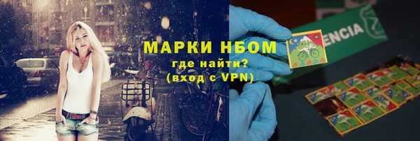 хмурый Алзамай