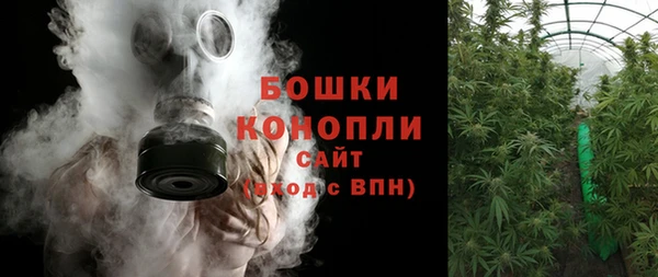 ПСИЛОЦИБИНОВЫЕ ГРИБЫ Ладушкин